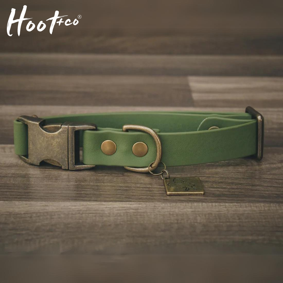 Dog Collar Olive