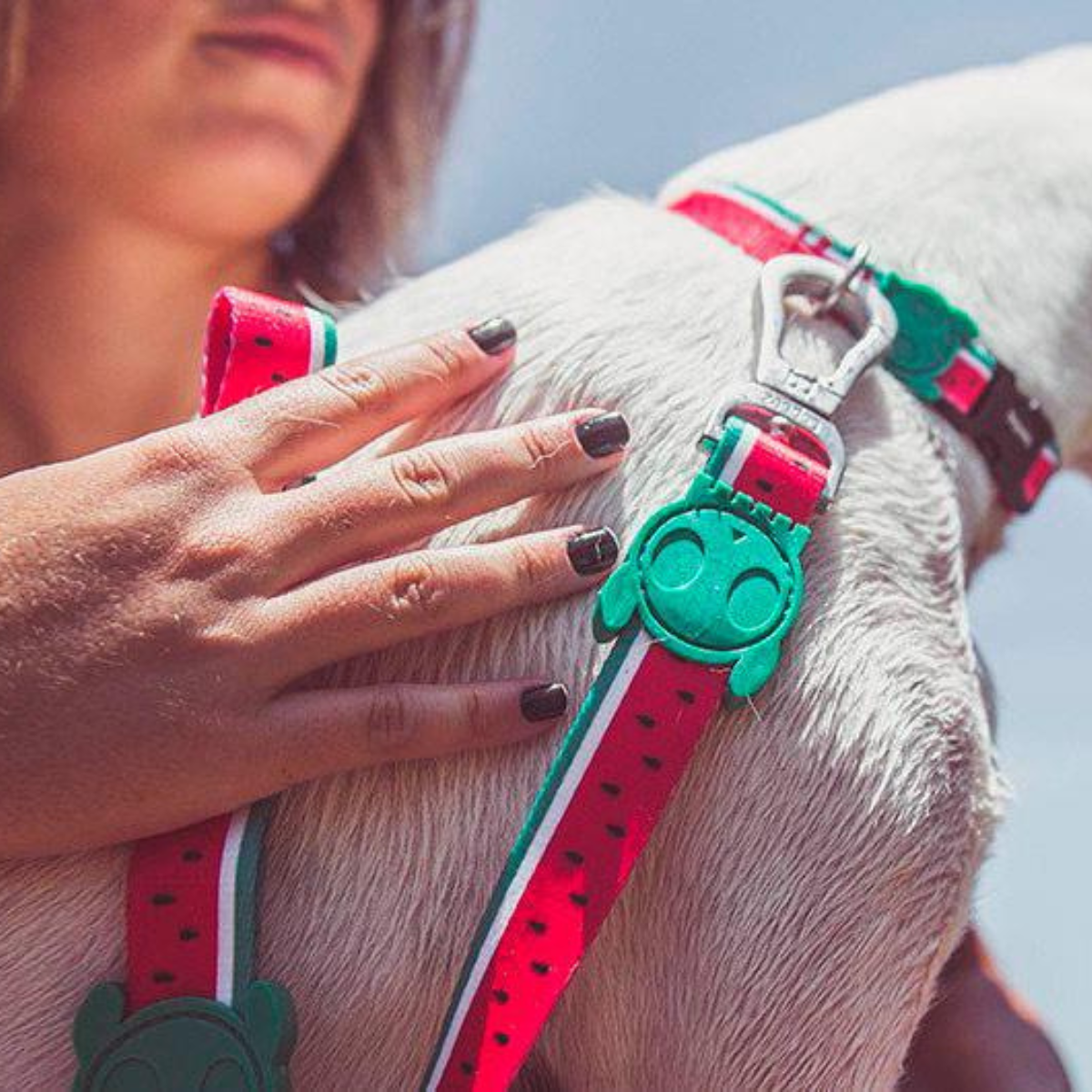 Dog Leash Lola
