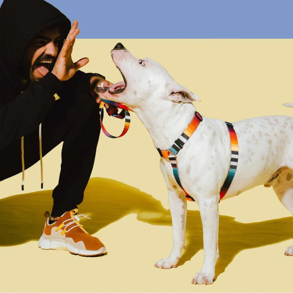 Dog H-Harness Prisma