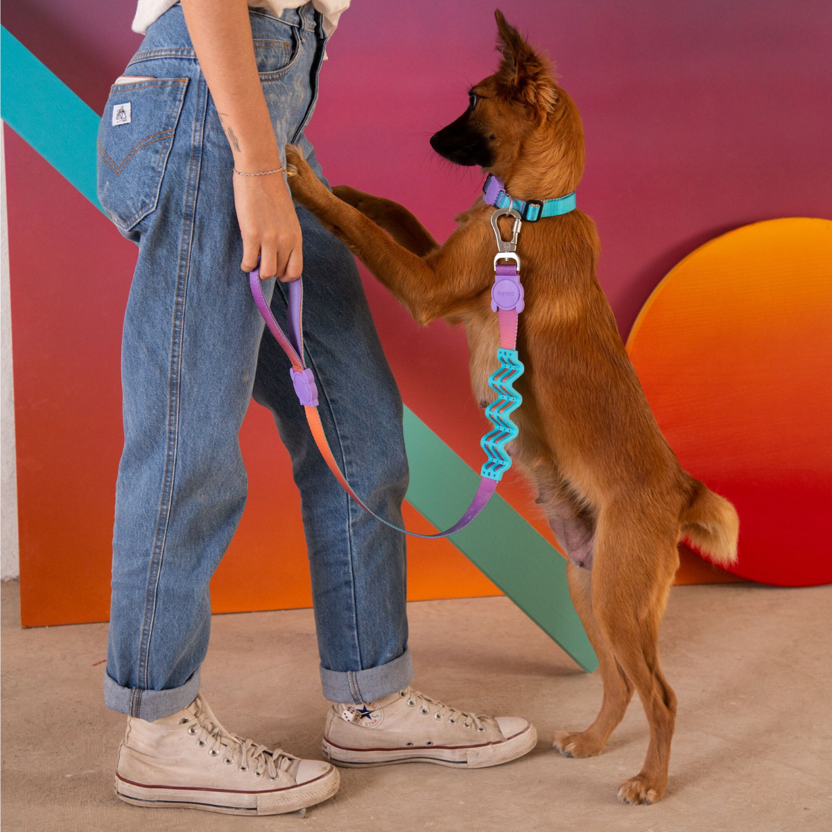 Dog Ruff Leash Wave