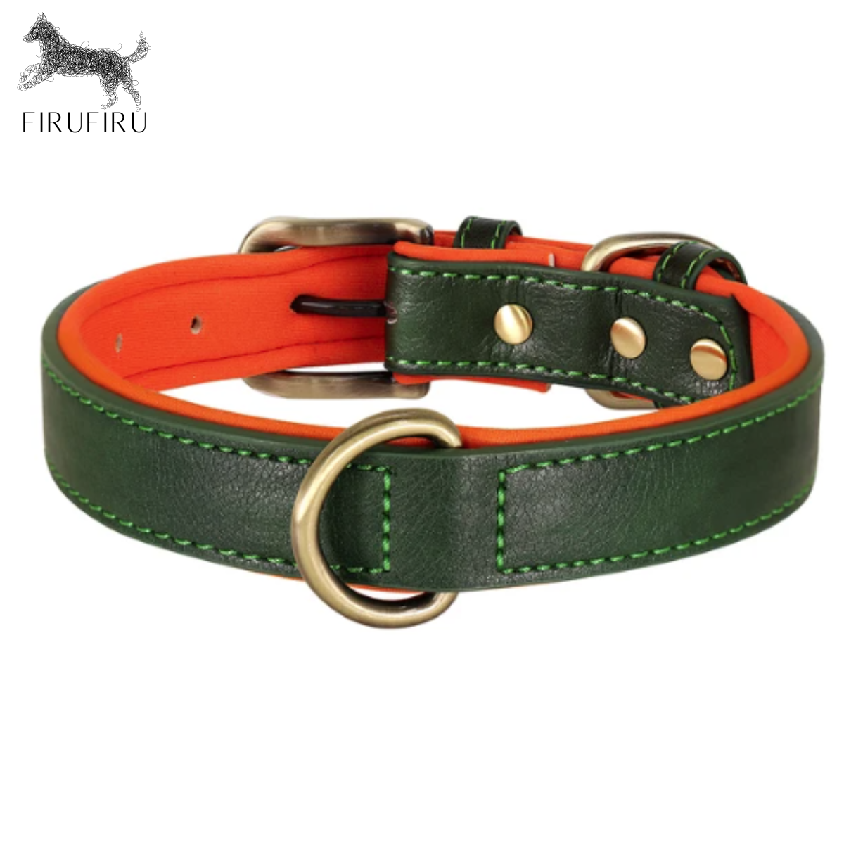 Collar + Correa Forest