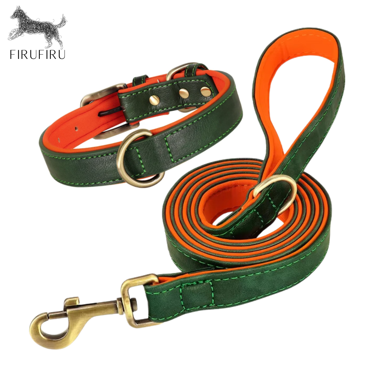 Collar + Correa Forest
