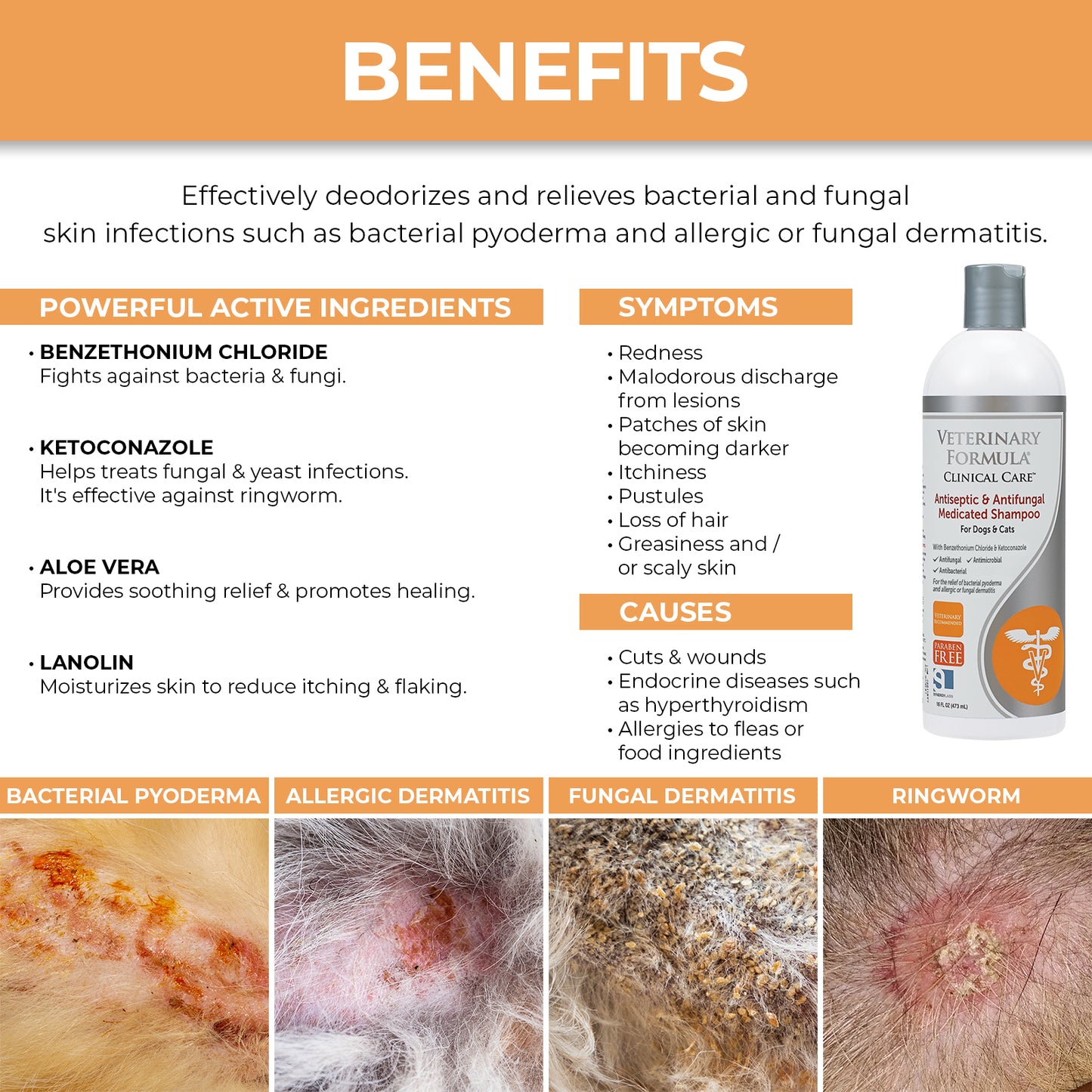 Antiseptic & Antifungal Medicated Shampoo
