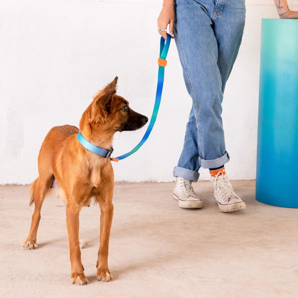 Dog Leash Tide