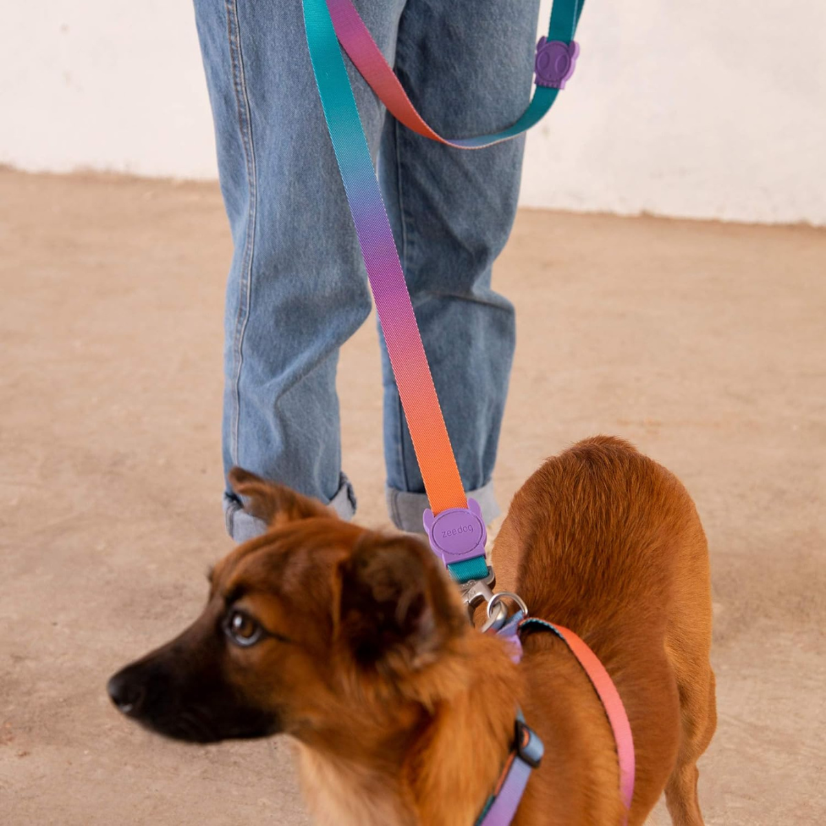 Dog Leash Wave
