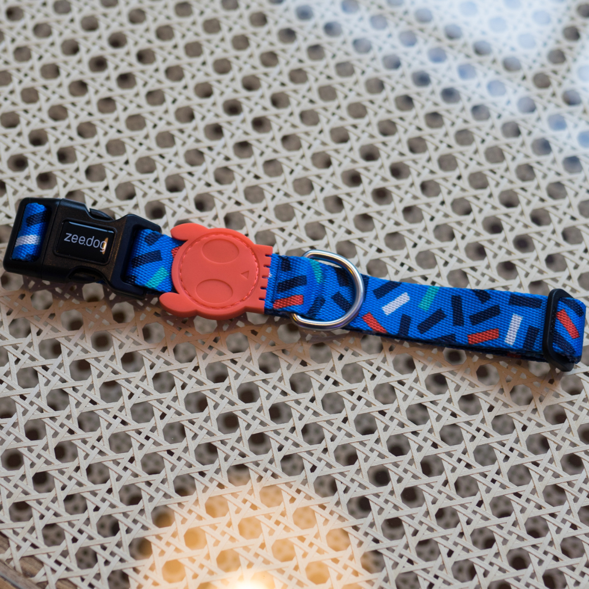 Dog Collar Atlanta